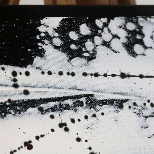 Bilder aus Acryl in Schwarz Weiß